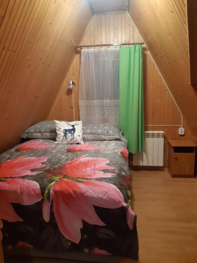Willa U Kasi Zakopane Extérieur photo